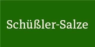 Schüssler Salze Logo